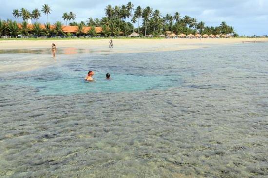Casa em Serrambi com Piscina e Terraço Amplo Vila Pôrto das Galinhas Exterior foto